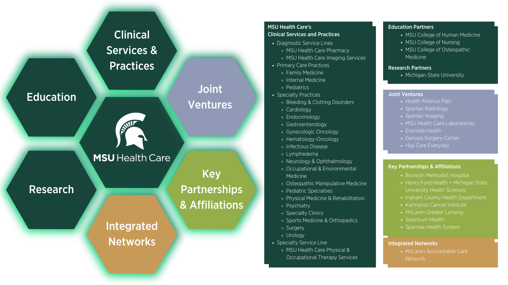 msu health care list of academic, research and clinical partnerships